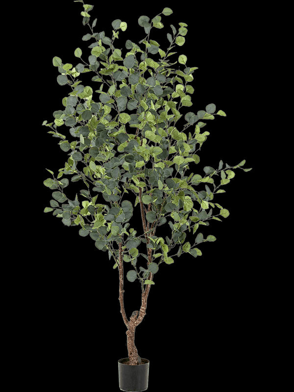 ea2cc24c-6270-423b-9ddf-9c9e315352b7-afbeelding3.jpg (7184929)