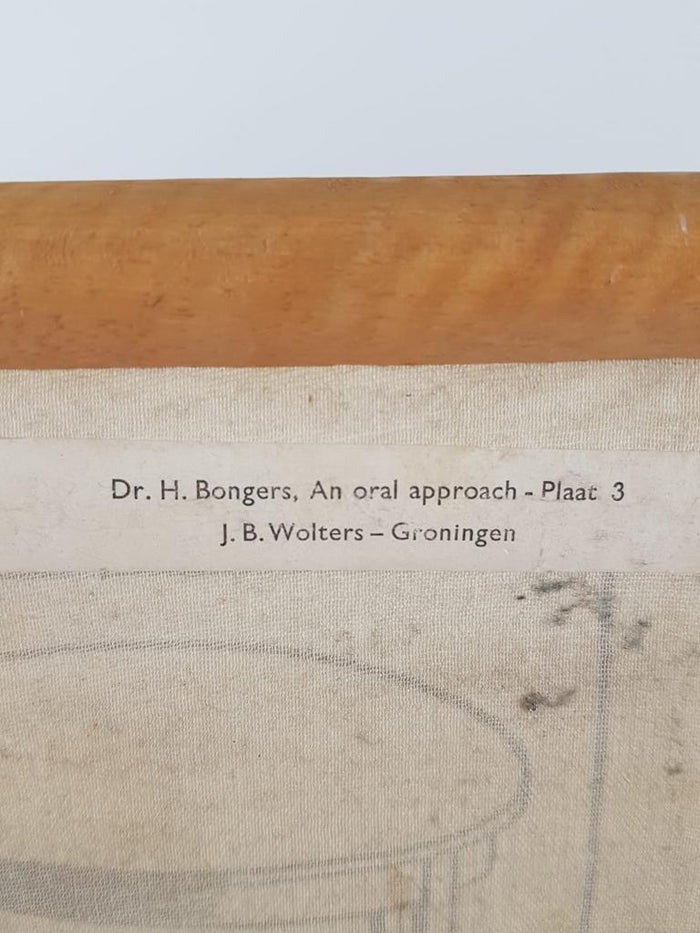 Hollandse Vintage Schoolplaat Poster Plaat 3 Jb Wolters