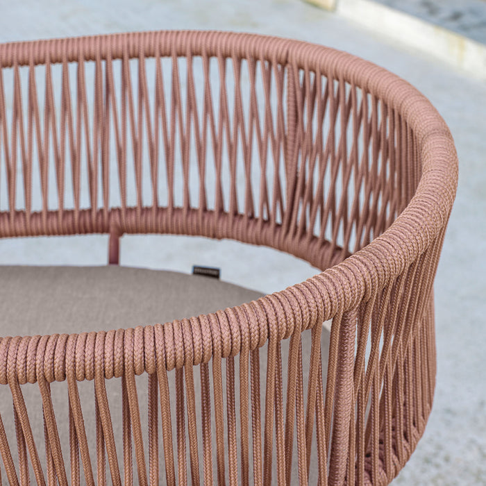 33c69050-a053-4e5f-b3fc-4ce1f5e307a3-afbeelding10.jpg (7276123)