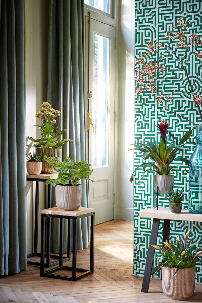 b0ce109b-b518-4dec-a5c5-eccd33329ea1-afbeelding5.jpg (7298541)