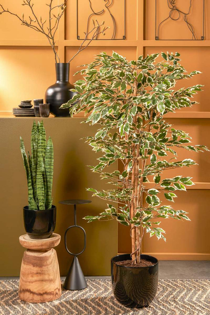 Mica Decorations Ficus Kunstplant - H180 x Ø90 cm - Groen Bont