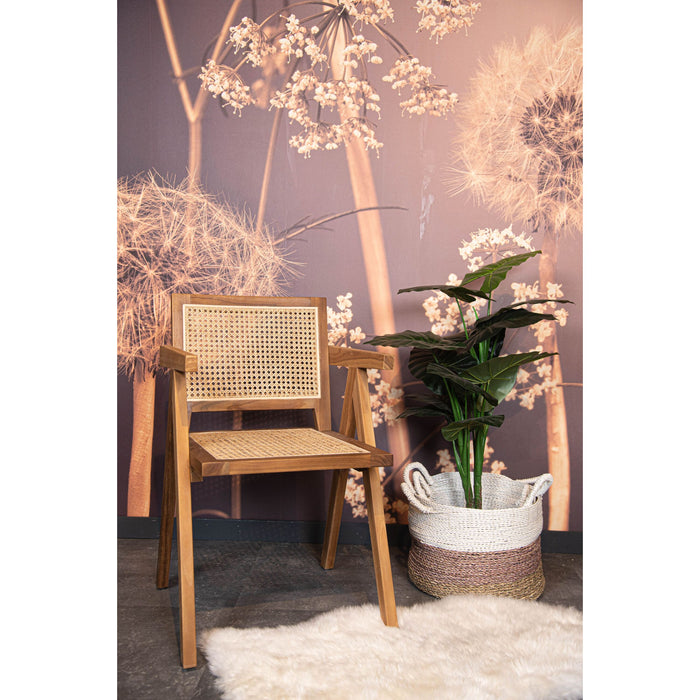 92cf84a0-d26d-4acb-a881-fc56b0e654ff-afbeelding5.jpg (7327809)