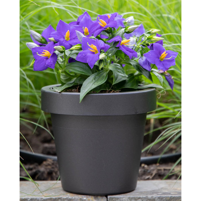 Mega Collections Plantenpot|bloempot - kunststof - zwart - D35 cm