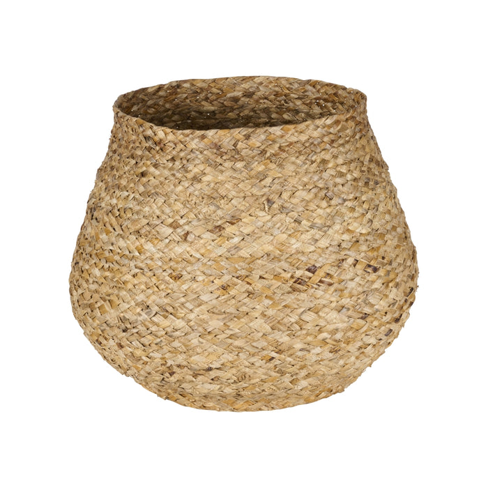 be4f4a09-601a-4047-b898-1feaaa91bf01-afbeelding3.jpg (7393697)