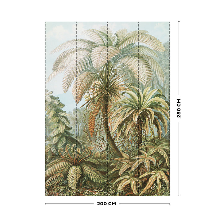 Art for the Home Fotobehang - Jungle Filicinae - 280x200cm