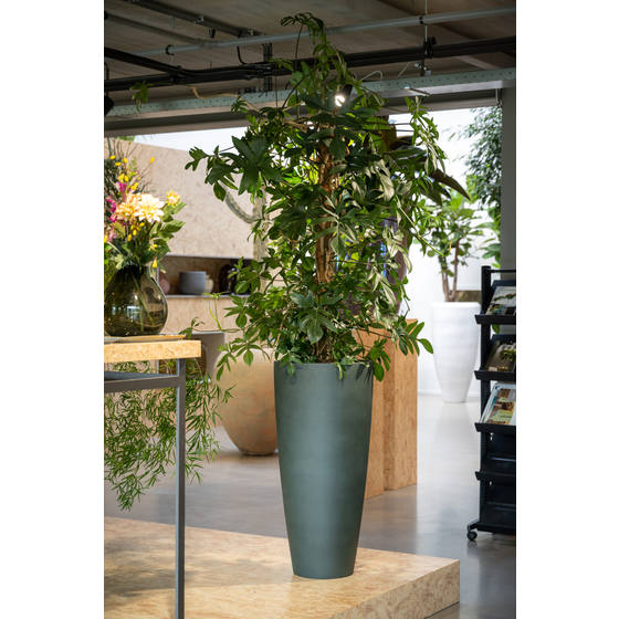 Pottery Pots Plantenbak Pine Green Groen D 37 cm H 80 cm