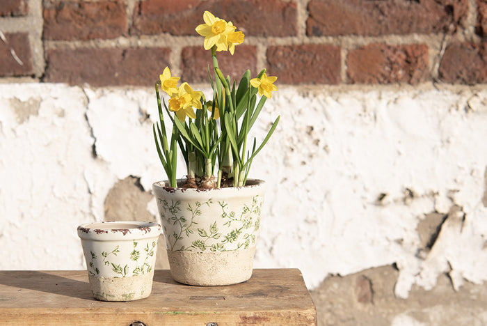 50e30660-3926-41bd-a72e-ad3afbd4124a-afbeelding11.jpg (7458323)