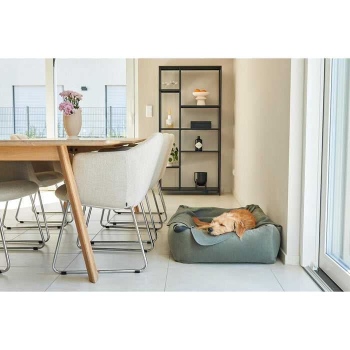 d1ea6f17-53ce-400f-9358-6e1c2bb24650-afbeelding3.jpg (7475144)