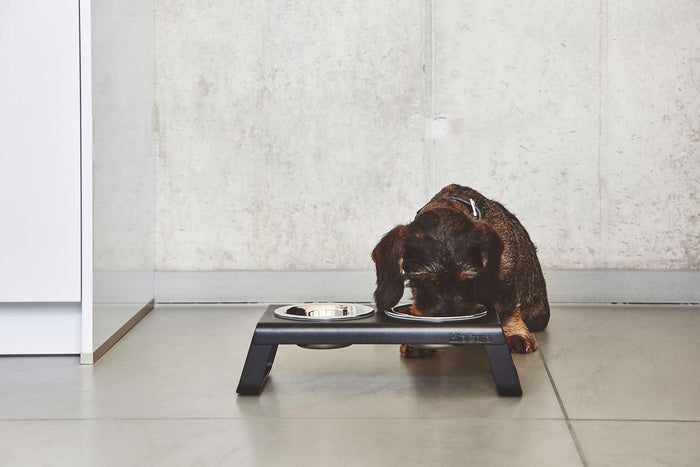 Desco hondenvoerbak small walnoot