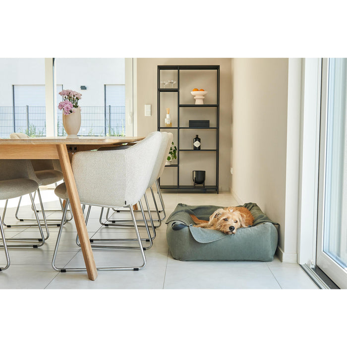 d1ea6f17-53ce-400f-9358-6e1c2bb24650-afbeelding8.jpg (7485151)