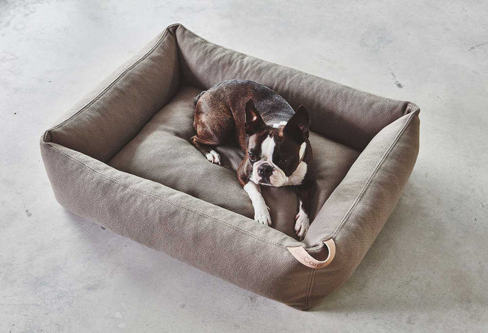 22735b34-626d-44b8-9d82-e1f12e190f9a-afbeelding5.jpg (7485176)