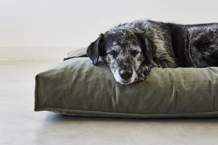 572ded25-1b10-409f-ae46-a8749c866232-afbeelding7.jpg (7485668)