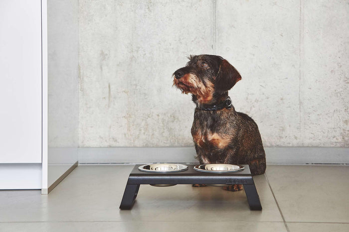 Desco hondenvoerbak small essen zwart