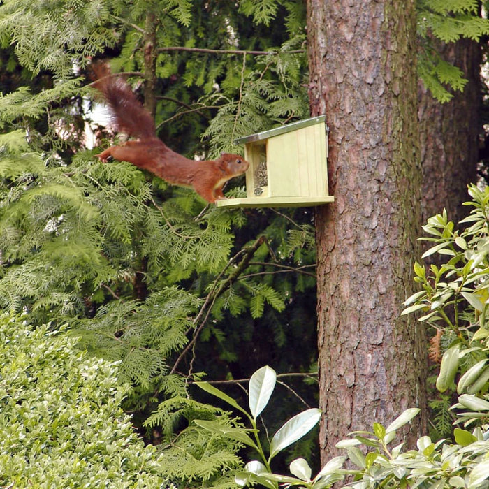 Esschert Design Eekhoornvoederhuisje 12,2x23x17,5 cm