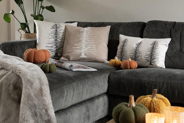 8f43e0ce-0044-4150-9bf8-9651f0d4868e-afbeelding10.jpg (7501454)