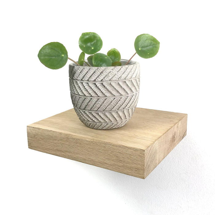 6b95ae1c-0820-41fc-ac28-769a2391462c-afbeelding4.jpg (7505679)