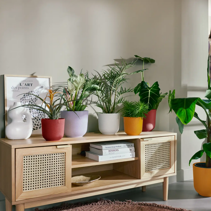 321611-x01-202310181322-A.png (7505960)