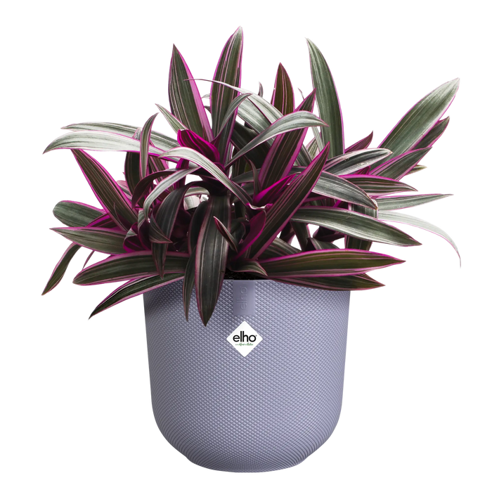 321615-x03-202310181322-C.png (7506001)