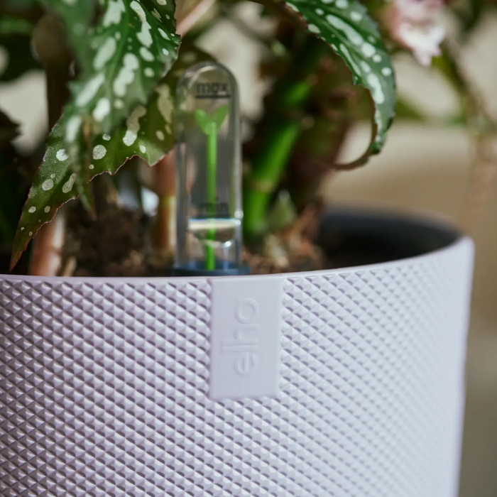 321615-x05-202310181322-A.png (7506004)