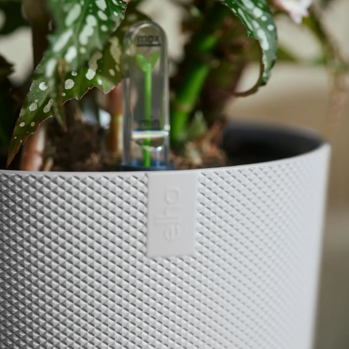 321617-x05-202310181322-A.png (7506023)