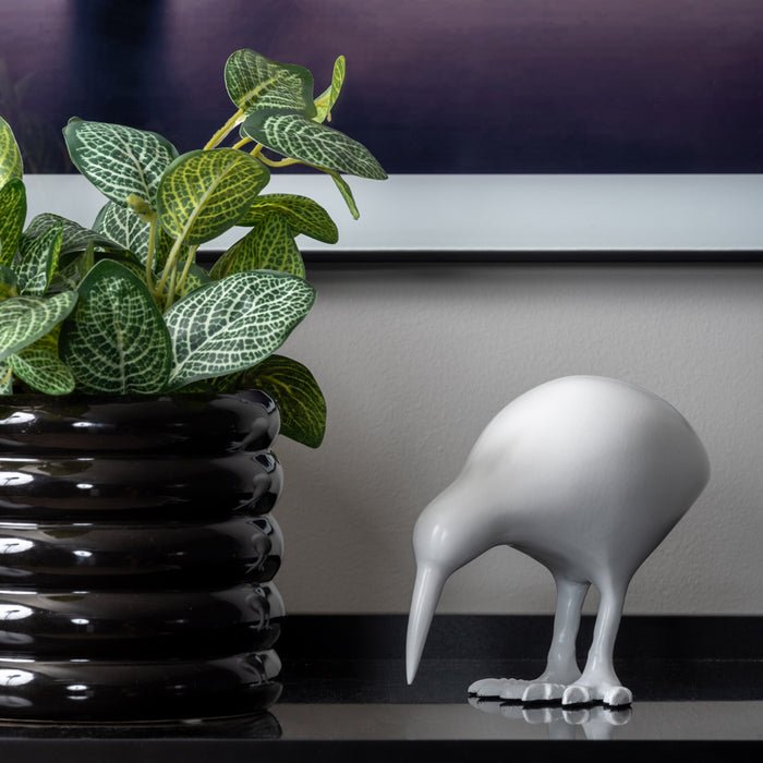 present time - Statue Kiwi Bird