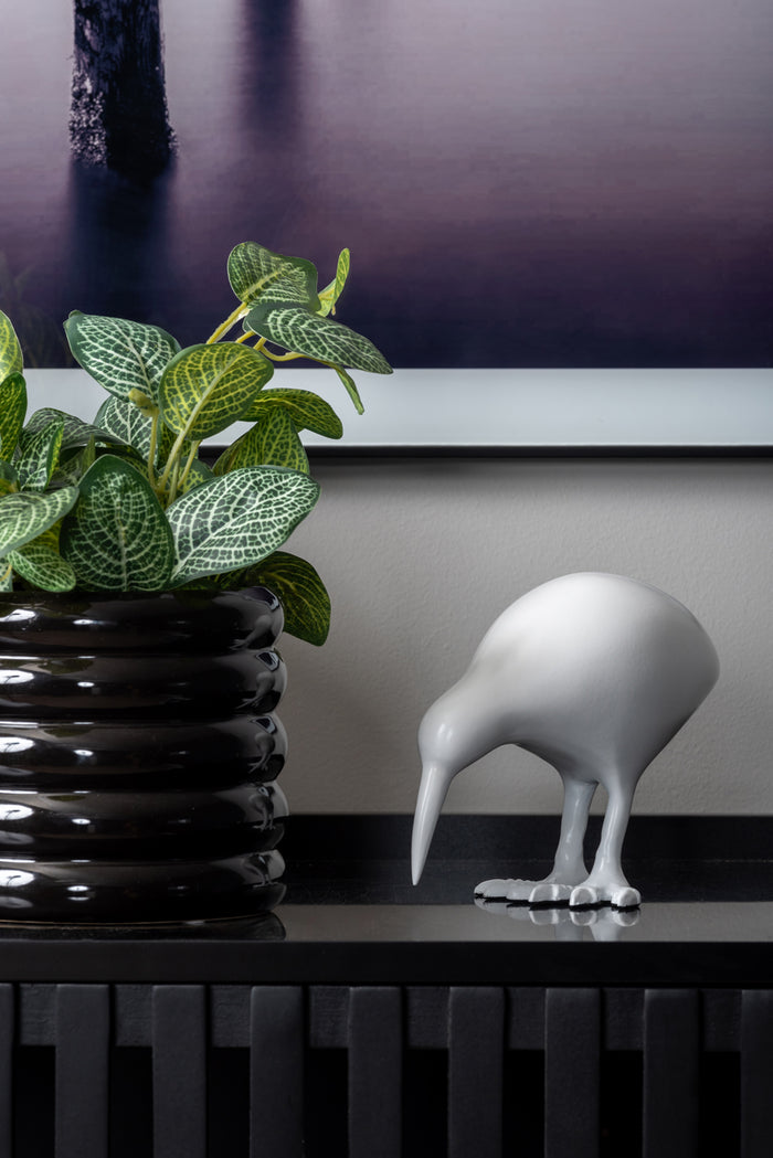 present time - Statue Kiwi Bird