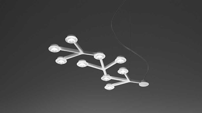 1f664cd7-847a-424b-aa68-5af06647eb78-afbeelding5.jpg (7509176)