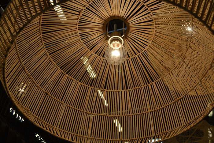 0047f872-cb0e-4c4d-8266-c1467f9b1517-afbeelding3.jpg (7519240)