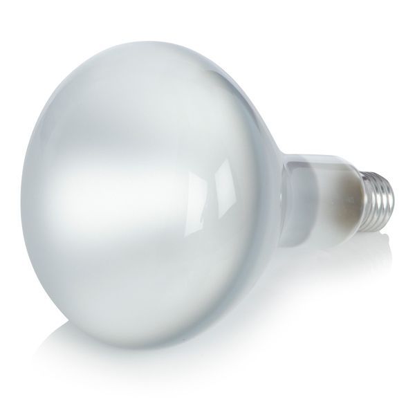 20d9566d-4bb6-4235-8238-f6762d4a57f0-afbeelding10.jpg (7521422)