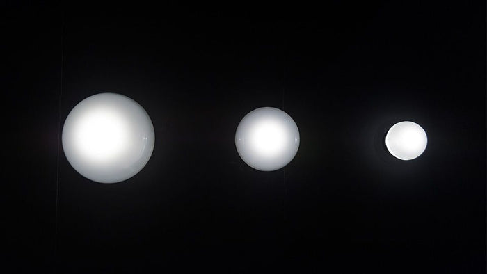 f6cb9b25-8242-42ae-8f11-d0ed2f164ec7-afbeelding5.jpg (7522479)