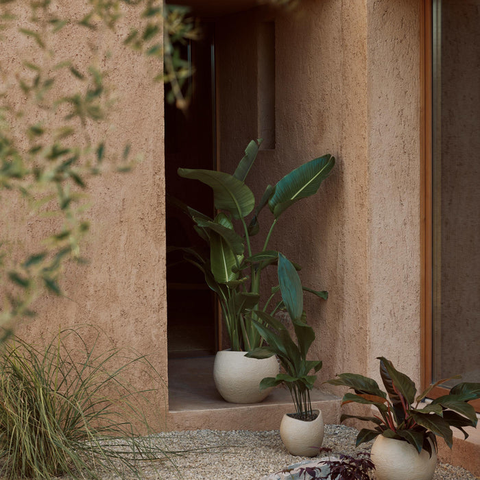 c57cbf07-e159-4219-a571-f86890377b2c-afbeelding3.jpg (7528360)