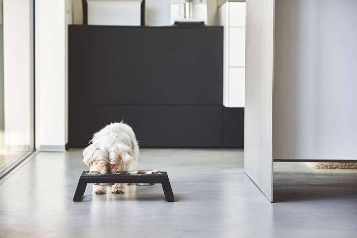 Desco hondenvoerbak medium walnoot