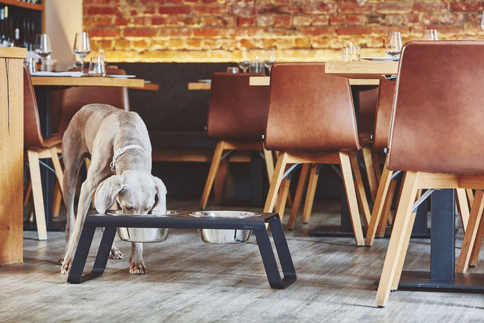 MiaCara Desco hondenvoerbak medium essen grijs