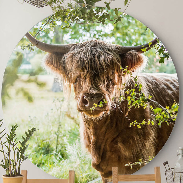 055af8e3-e569-40af-aeaa-c4ad0ff130bd-afbeelding10.jpg (7553425)