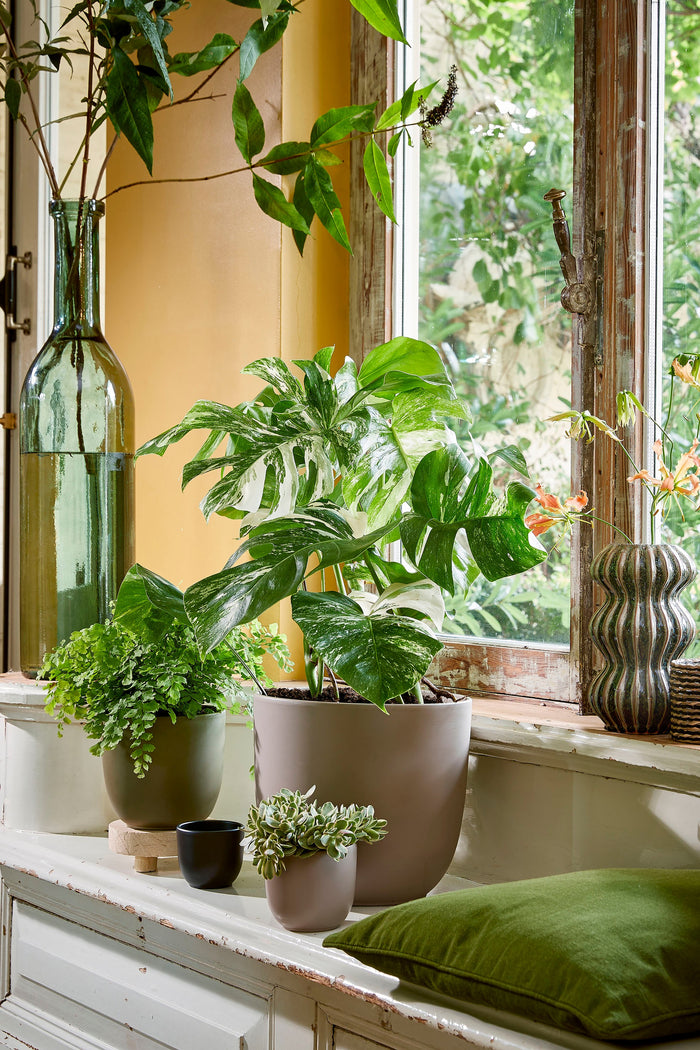 Mica Decorations Rioja Glazen Fles - H50 x Ø15 cm - Groen