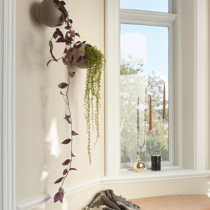 20451ff7-0f7b-4f8c-836a-9a912949452e-sfeerbeeld.jpg (7566341)