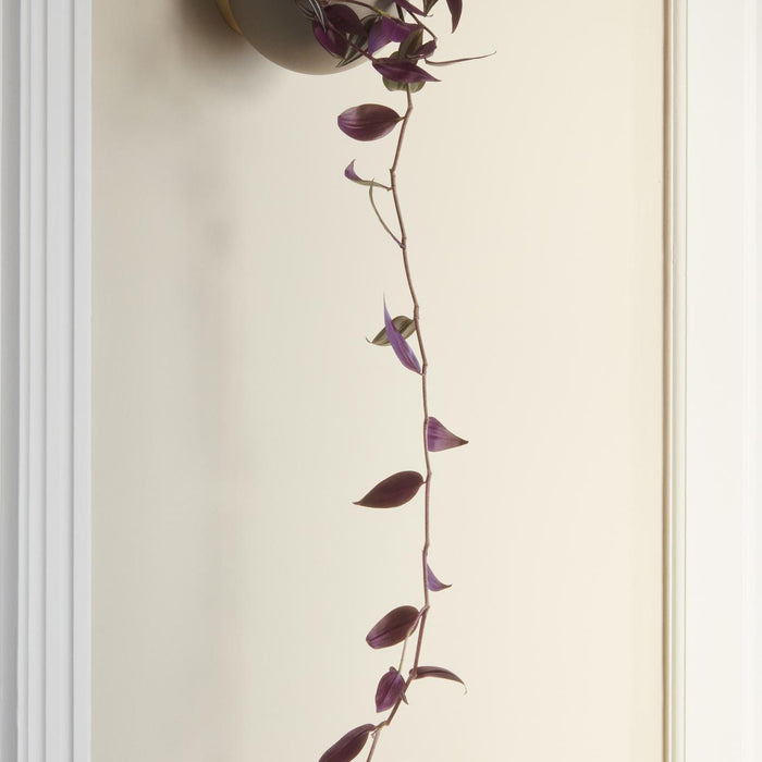 20451ff7-0f7b-4f8c-836a-9a912949452e-afbeelding5.jpg (7566344)