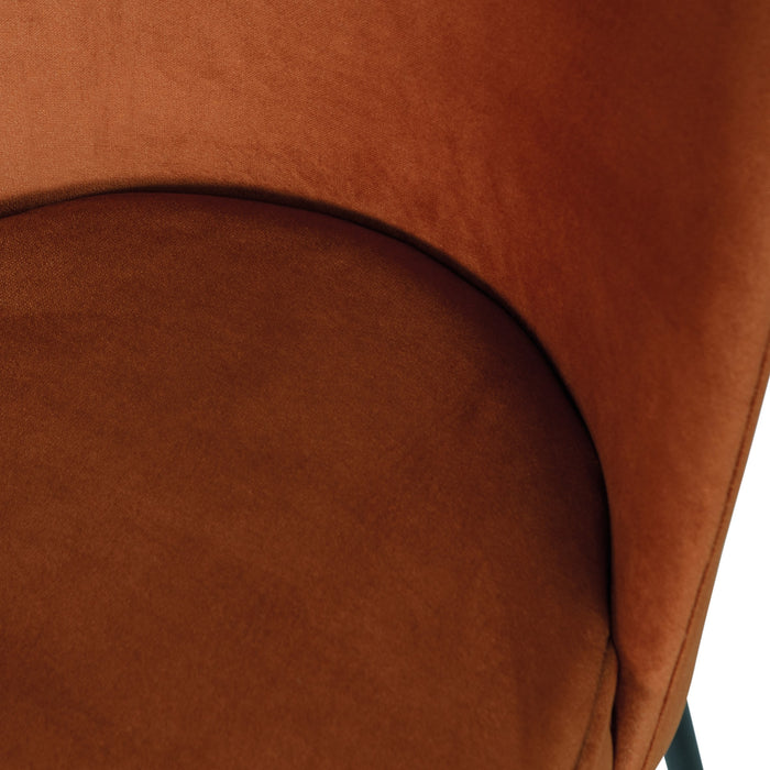 316474-x06.jpg (7568567)