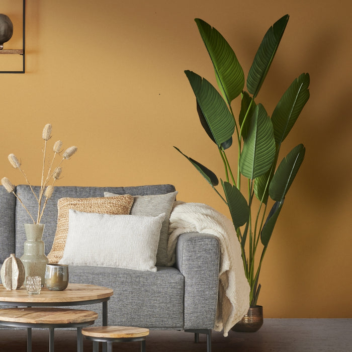 Easyplants Kunstplant Strelitzia 230 Cm