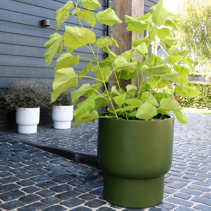 321471-x02-202311011022-A.jpg (7569753)