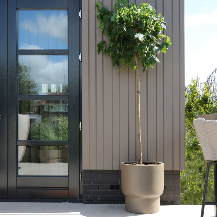 321476-x02-202311011022-A.jpg (7569761)