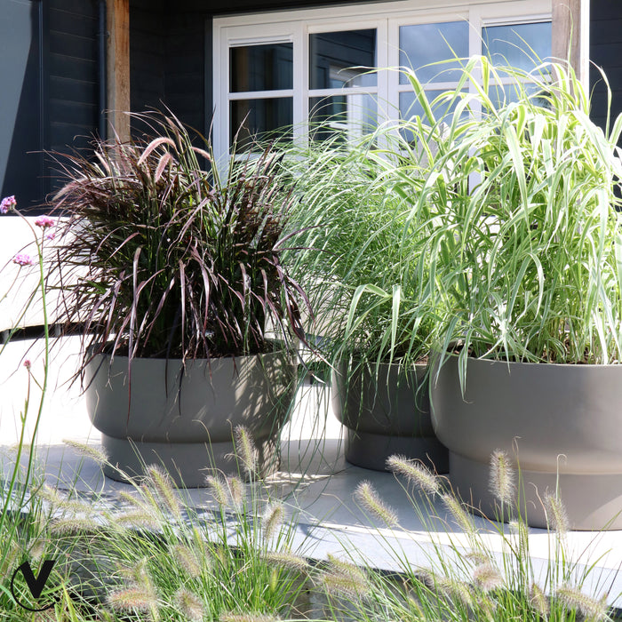 321492-x01-202311011022-A.jpg (7569772)