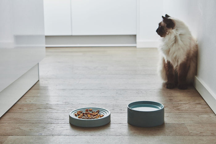 Piatto kattenvoerbak Ø16 concrete