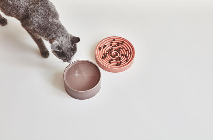 Piatto kattenvoerbak Ø16 concrete