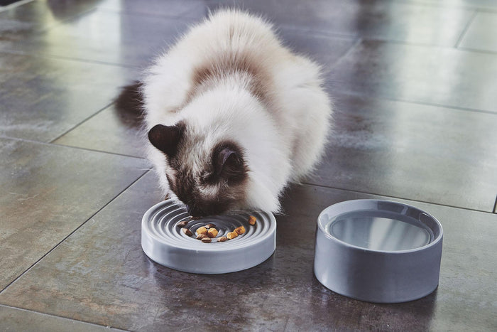 Fresco kattenvoerbak Ø14 concrete