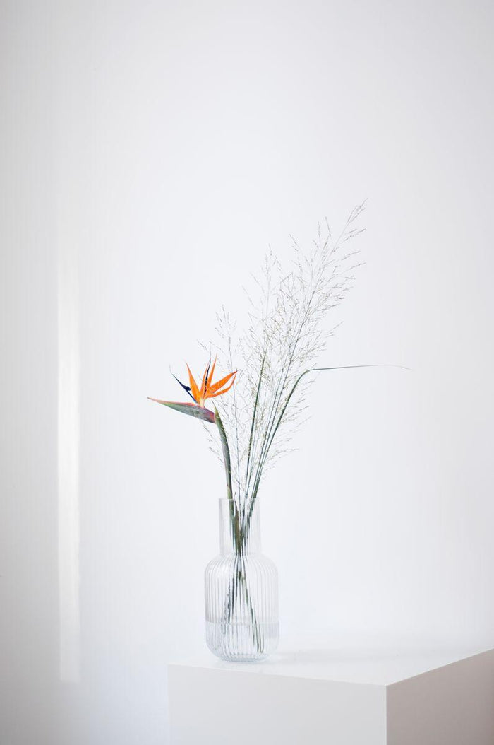 0e8b0b8d-429a-4a25-aa84-1d7ba9548e2c-sfeerbeeld.jpg (7571582)