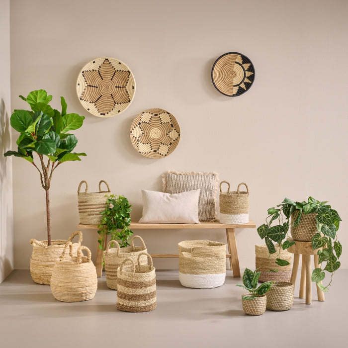 9d110e0a-dea3-4c53-a4bd-db2412c99f2d-afbeelding3.jpg (7580741)