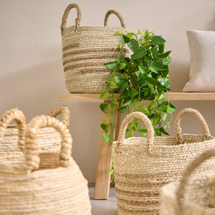 9d110e0a-dea3-4c53-a4bd-db2412c99f2d-afbeelding7.jpg (7580745)