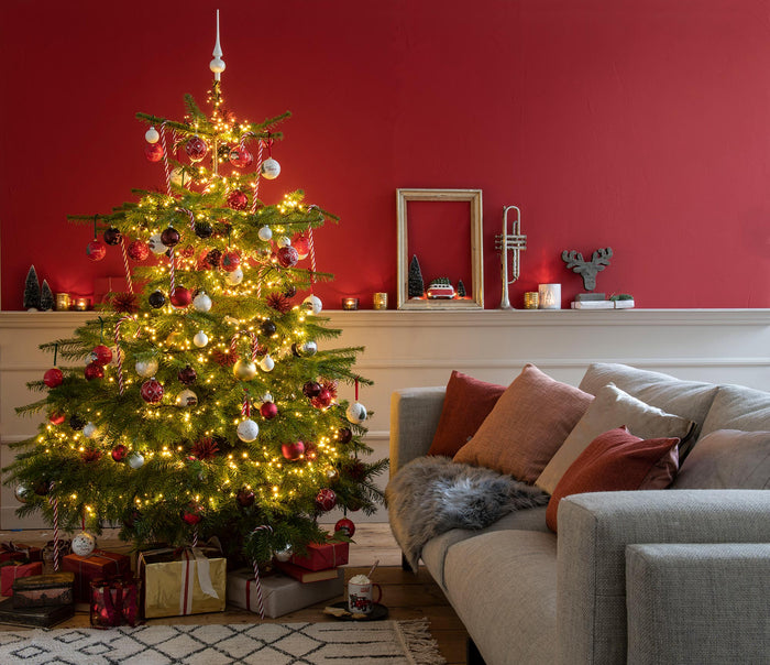 FURNILUX - KERSTBOOM - NOORDMAN 175-200CM IN POT