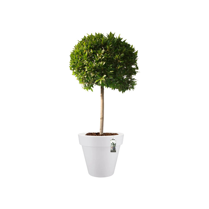 elho Pure Round Bloempot Ø 80 cm - Wit